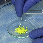 Melting Point Determination