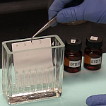 TLC plate in developing tank